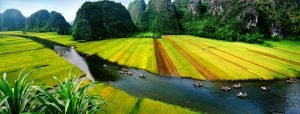 Quel site plus beau à la baie Halong Terrestre
