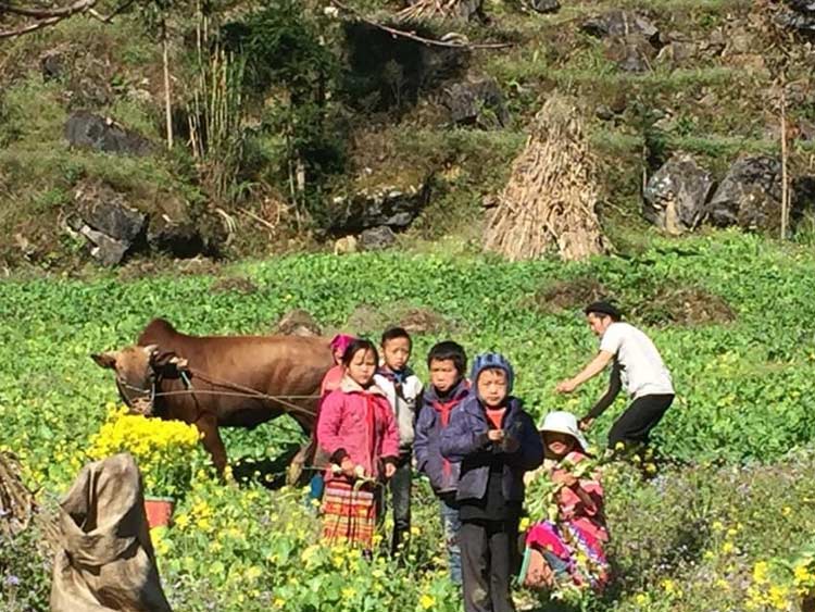 Ha Giang 5 jours- Ethnies colorés- Paysage pittoresque- loger chez habitant