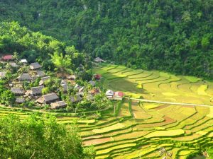 Informations pratiques sur Pu Luong