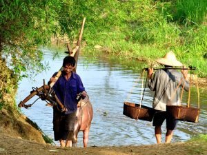 la vie rurale à Pu Luong à travers les photos