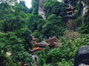 Pagode Bich Dong au milieu de nature