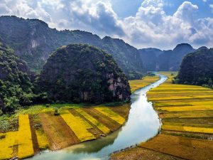 couleur jaune à Tam Coc en Mai