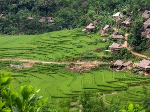 Village Kho Muong se cache dans la nature