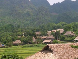 Les maissons au Village Giang Mo à Mai Chau